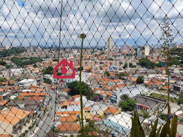 Venda em Vila Barreto - São Paulo