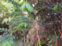 Terreno para Venda em São Paulo - 3