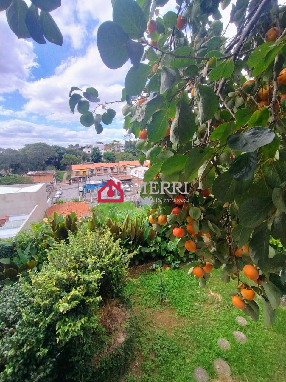 Casa, 4 quartos, 796 m² - Foto 5