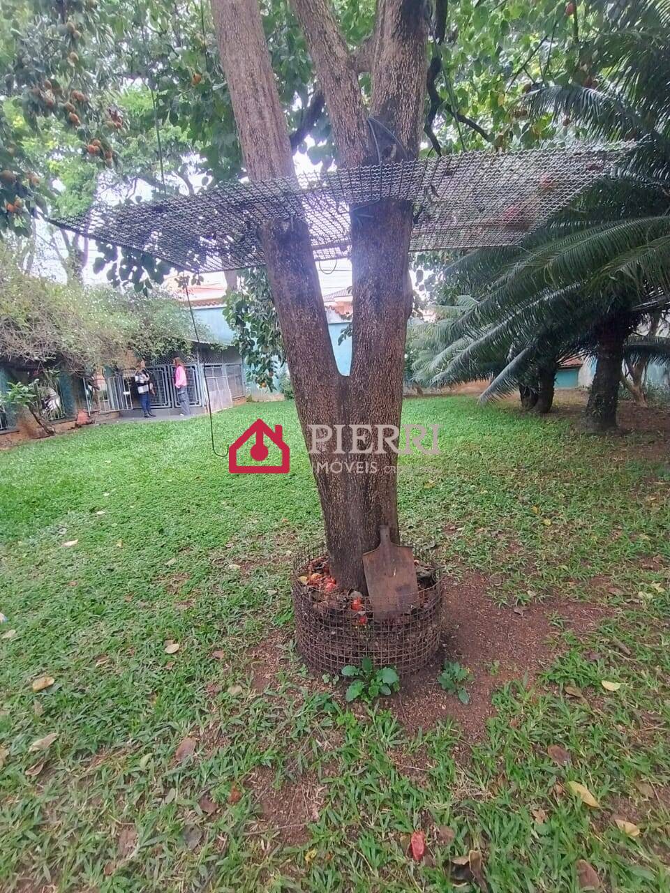Casa, 4 quartos, 796 m² - Foto 6